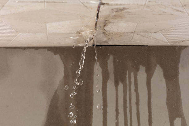 Professional Water Damage Restoration technician working in Pella, IA